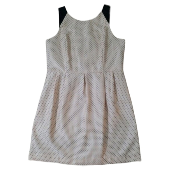 KENSIE~Women's Size L~Gold/Black Polka Dot Dress Fit & Flare NWT. - Picture 1 of 10